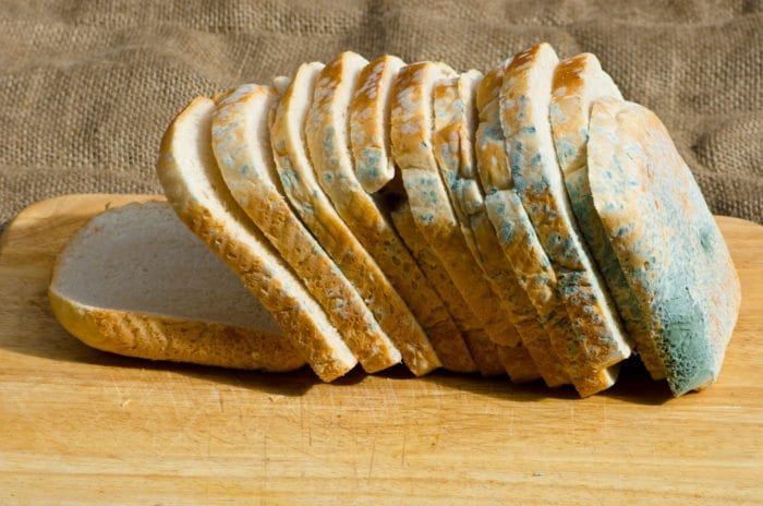 Moldy loaf of bread