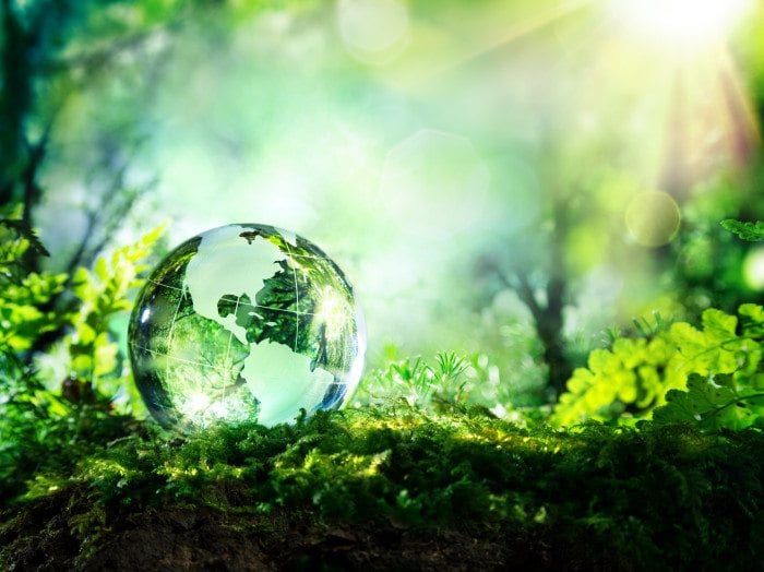 6 Principles Of A Modern Optometry Website Design 4 A Crystal Ball Lays In A Forest.