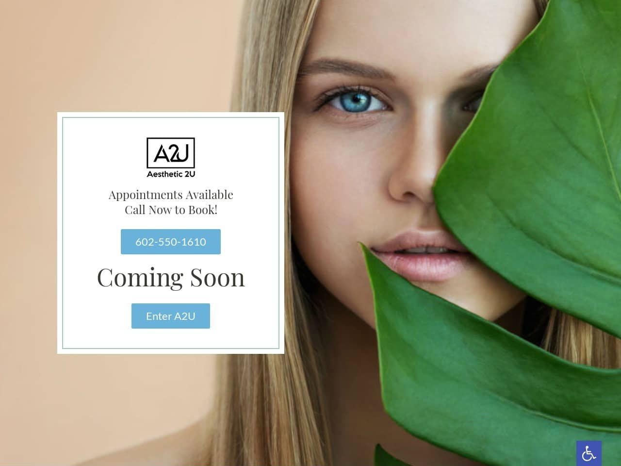 Aesthetic2U Website Screenshot from url aesthetic2u.com