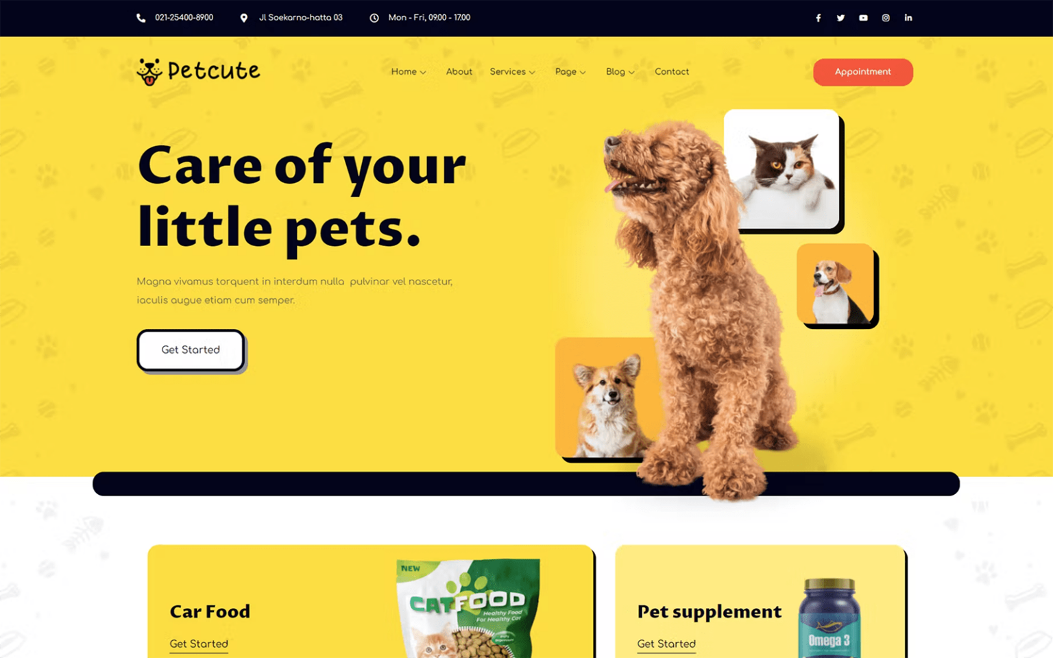 petcute website