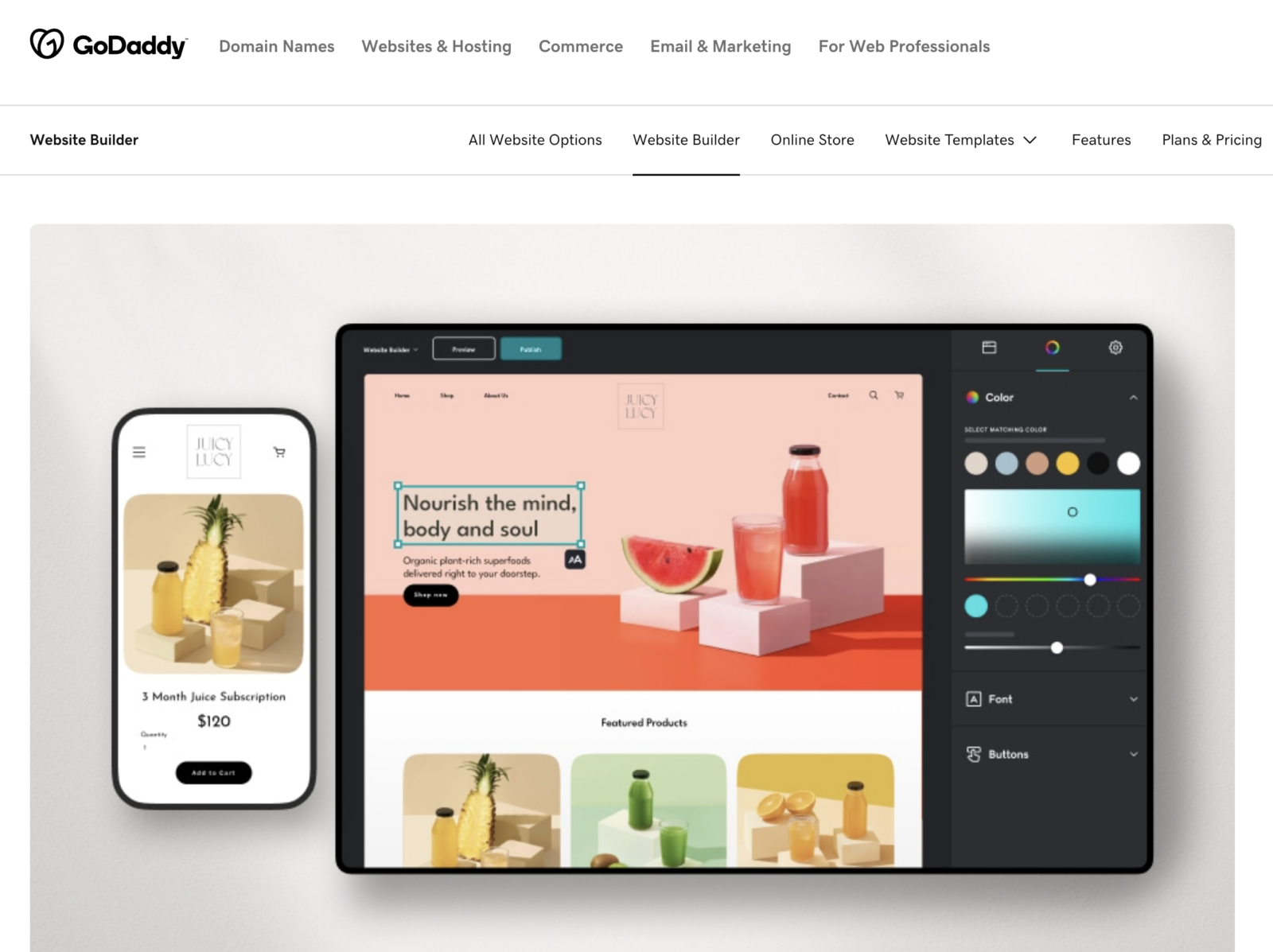 GoDaddy website template screenshot