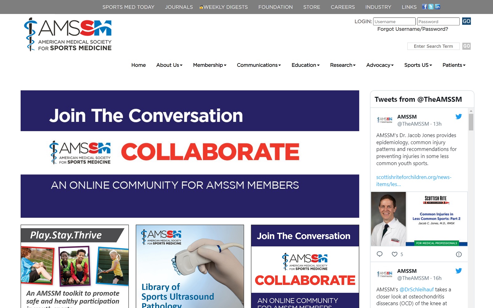 amssm.org screenshot