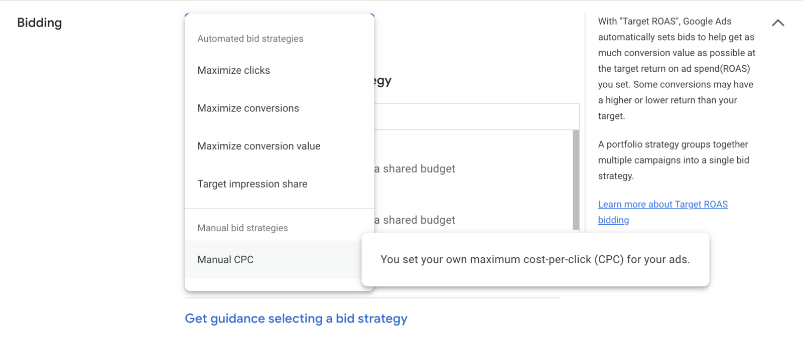 screenshot of bidding options in google ads