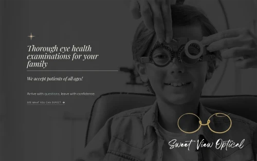 Optical Website Example