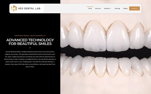 Dental Website Example