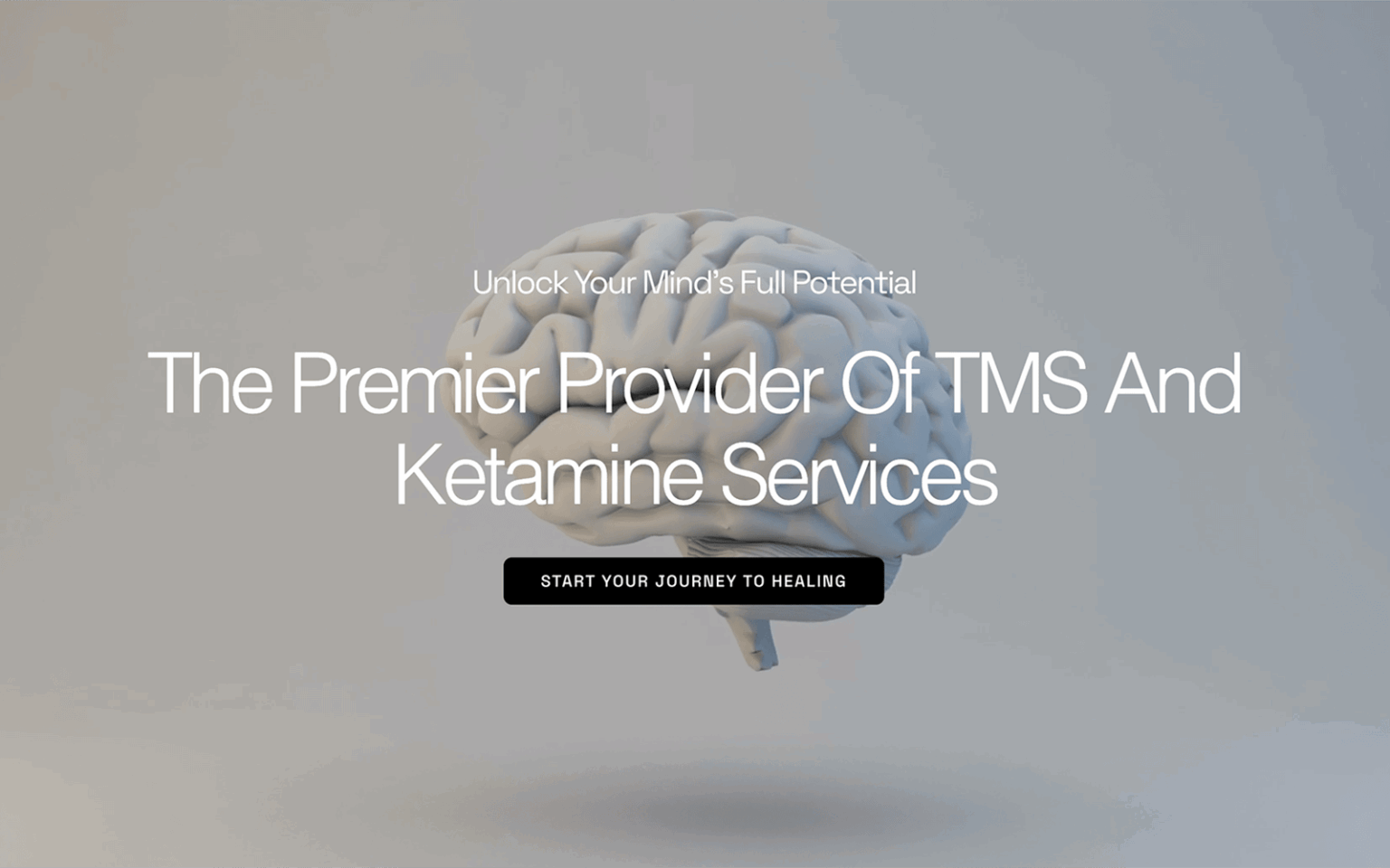 Whole Mind TMS Website SCreenshot
